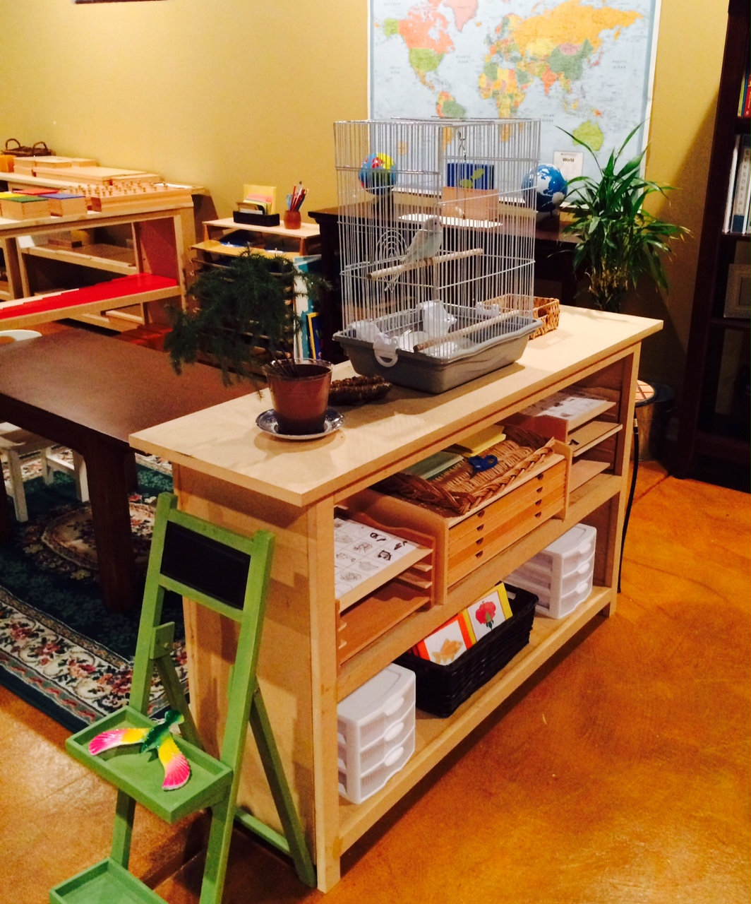 Montessori classroom